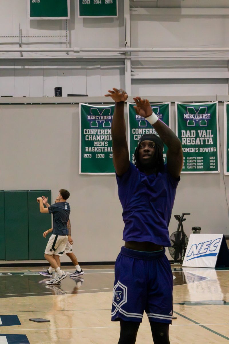 Stonehill Men's Basketball tweet media