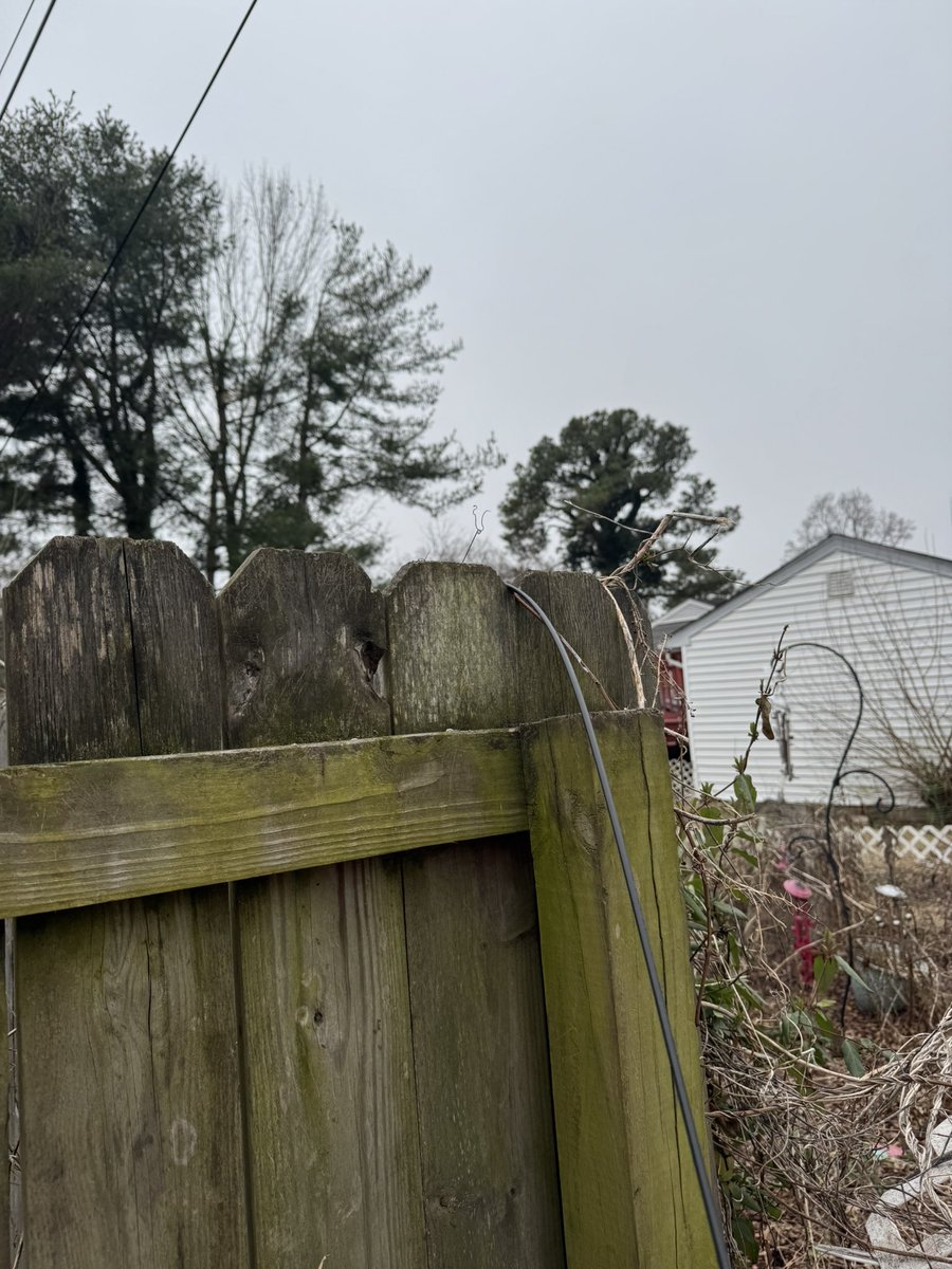 AtomicKoopa tweet media