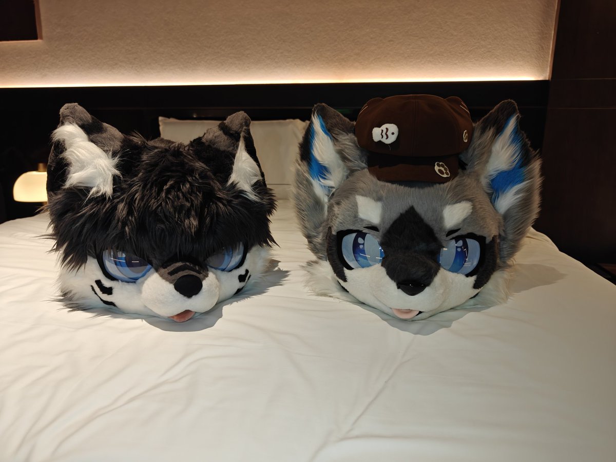 UDon_爱吃乌冬 tweet media