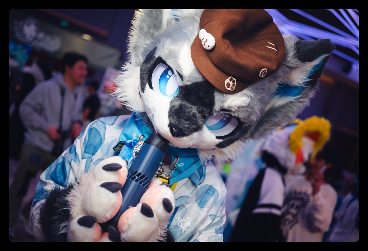 UDon_爱吃乌冬 tweet media