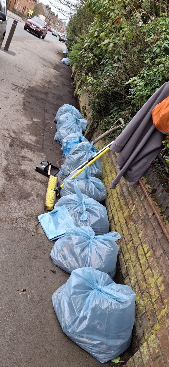 Lowiseowl 🦉 tweet media