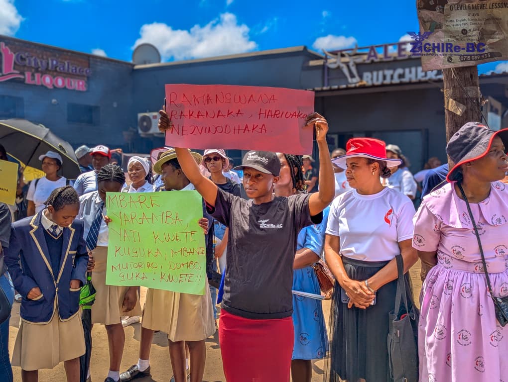 ZiCHIRe Project tweet media