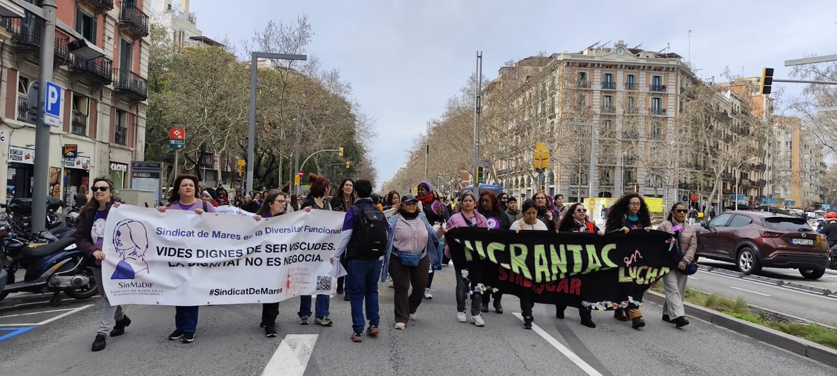 Sindicat de Mares en la Diversitat Funcional tweet media