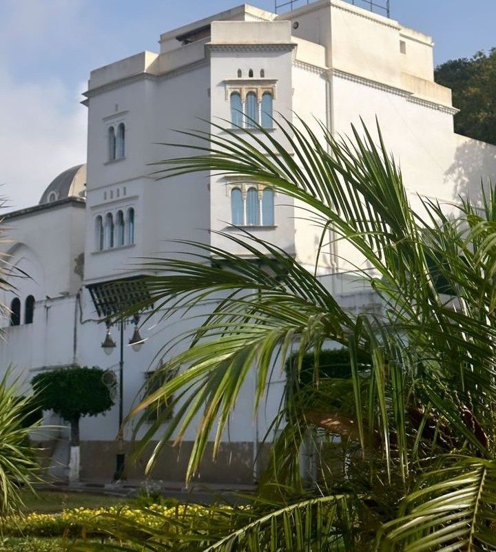 lidya_Benmehdi's tweet photo. Alger la blanche🤍 https://t.co/KT6LMXPjpu