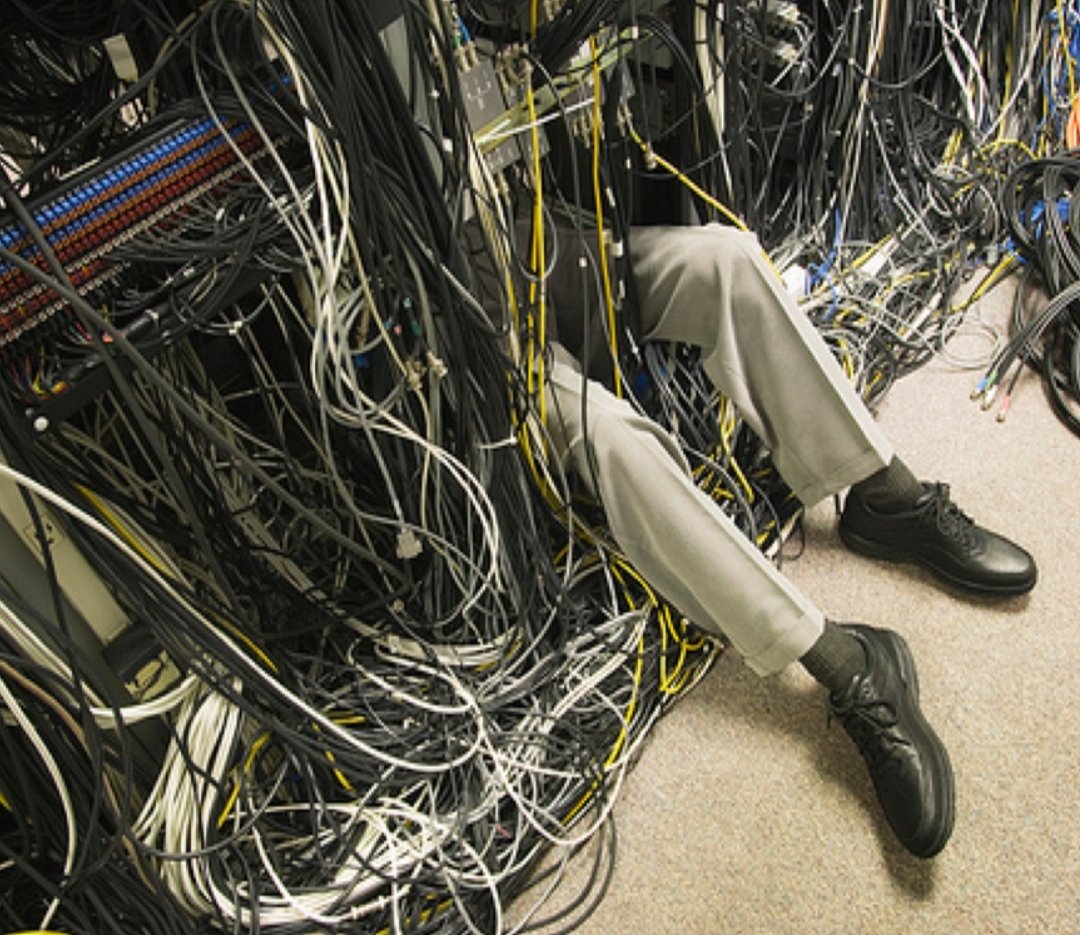 Scaglover⭕ (corporealistic) tweet media