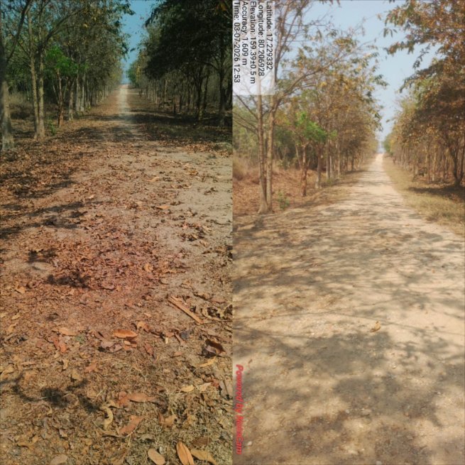 DFOKMM's tweet photo. Cleaning drive conducted at Velugumatla Urban Park as part of the TG Forest Dept's 99 Days Programme. Staff actively participated in maintaining cleanliness and improving the green environment of the urban forest park.🌿🌱
#Forestdept #99DaysProgramme #CleanGreen #UrbanForests https://t.co/YrndVvYYC2