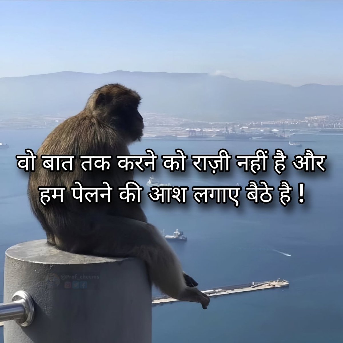 Prof cheems ॐ tweet media