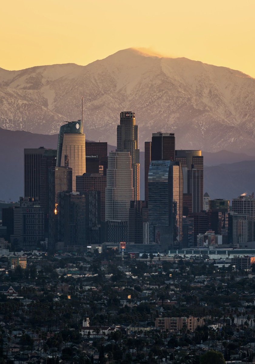 Brandon Yoshizawa tweet media