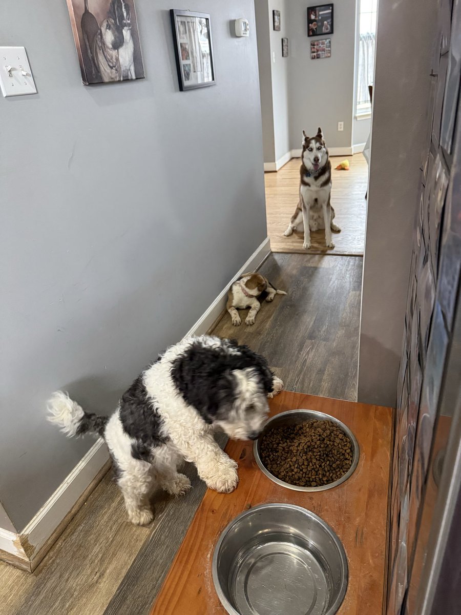 bob hommerbocker tweet media