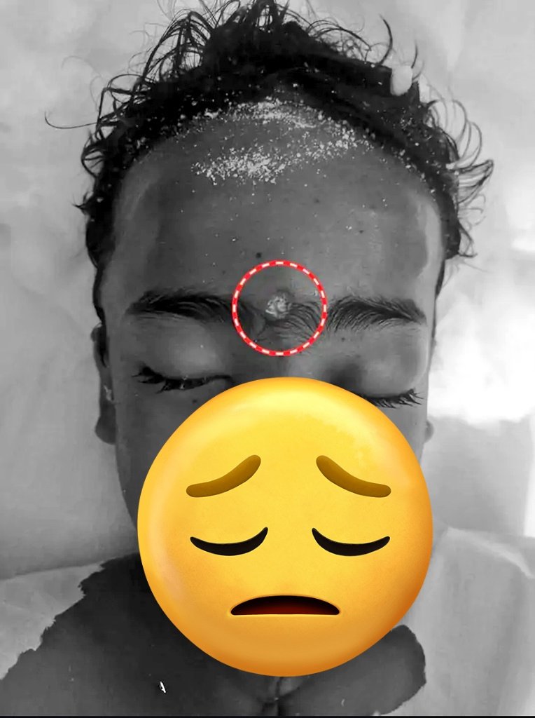 Team Rising Falcon tweet media