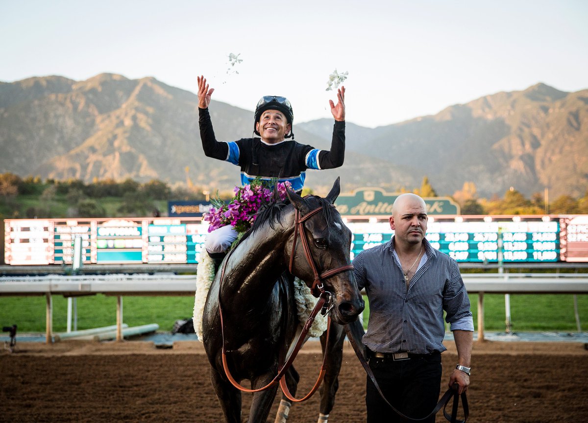 Remembering Shared Belief... who won his 10th and final race on this day on March 7, 2015 with a 4 1/4 length victory in the G1 Santa Anita Handicap with <a href="/mikeesmith10/">mike e smith</a> aboard 🏇

The Santa Anita Handicap was Shared Belief's 5th G1 win.

Rest in Peace, Shared Belief
❤️2/15/2011 -