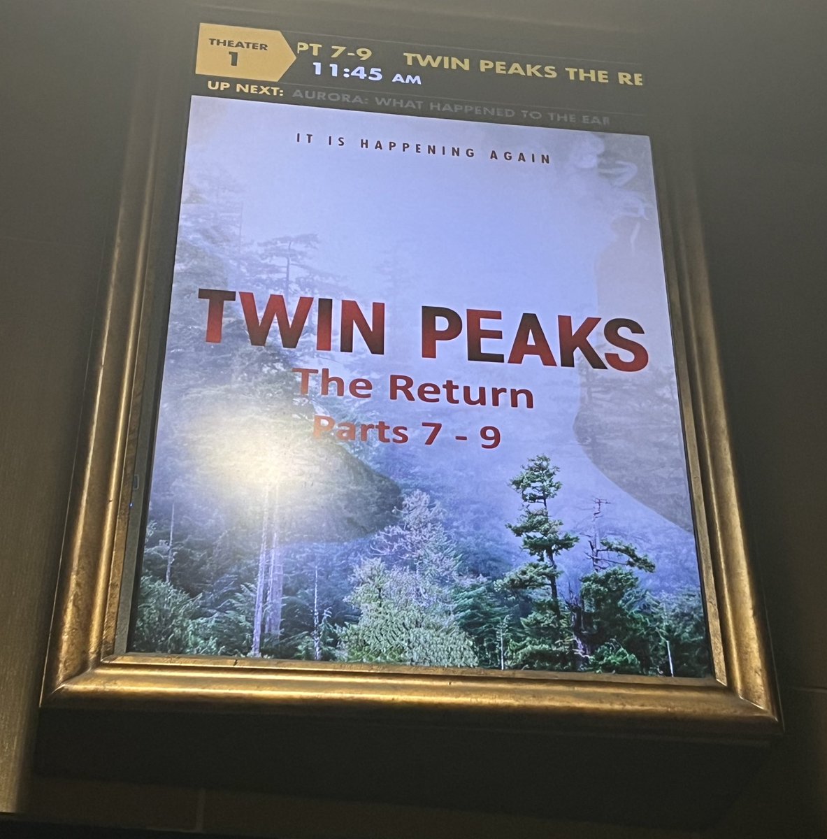 A.M.MO, The Lowest of the Low. tweet media