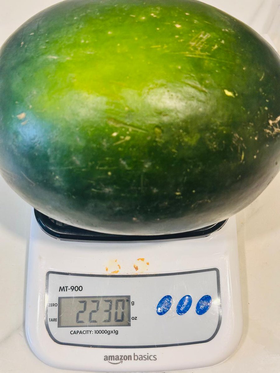 YourCardJourney tweet media