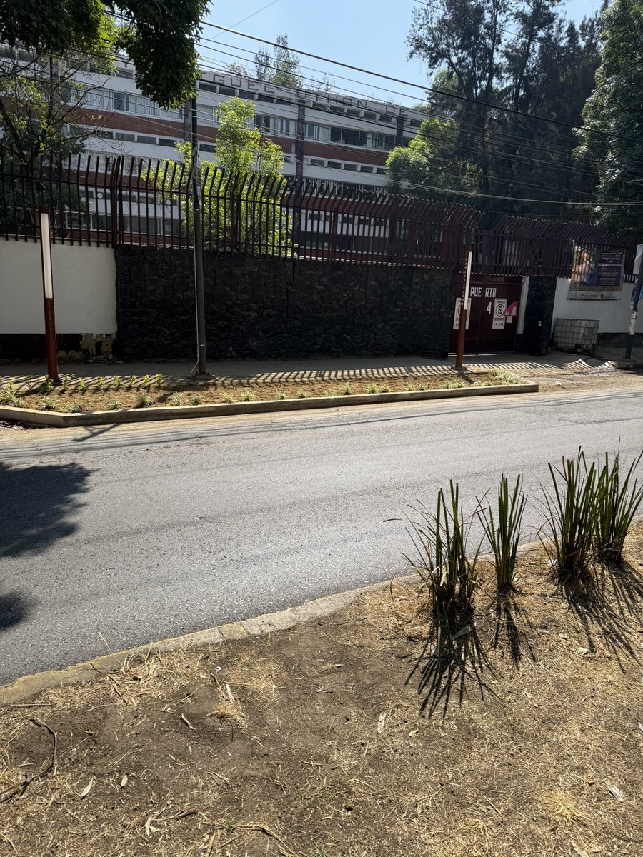 Navannna's tweet photo. Más obras inútiles en @AzcapotzalcoMx  ampliando banquetas para plantitas en ave jardín lo que redujo a UN carril!! si ya era un caos en hora pico ahora más, no tienen cómo gastar el dinero? Pónganse a tapar baches!!! @c4jimenez @telediario @ImagenTVMex @nmasforo @latinus_us https://t.co/JBUDyF9kyN
