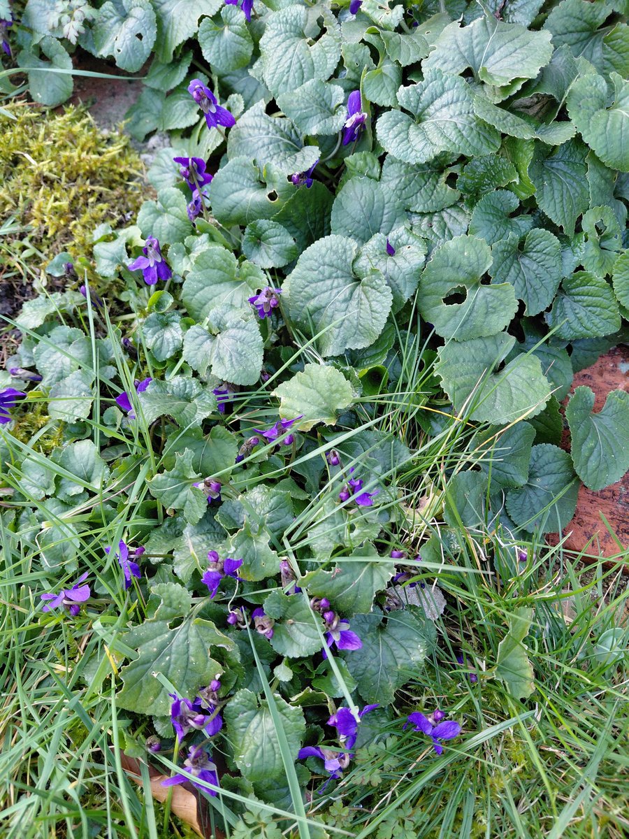 Pam Keevil tweet media