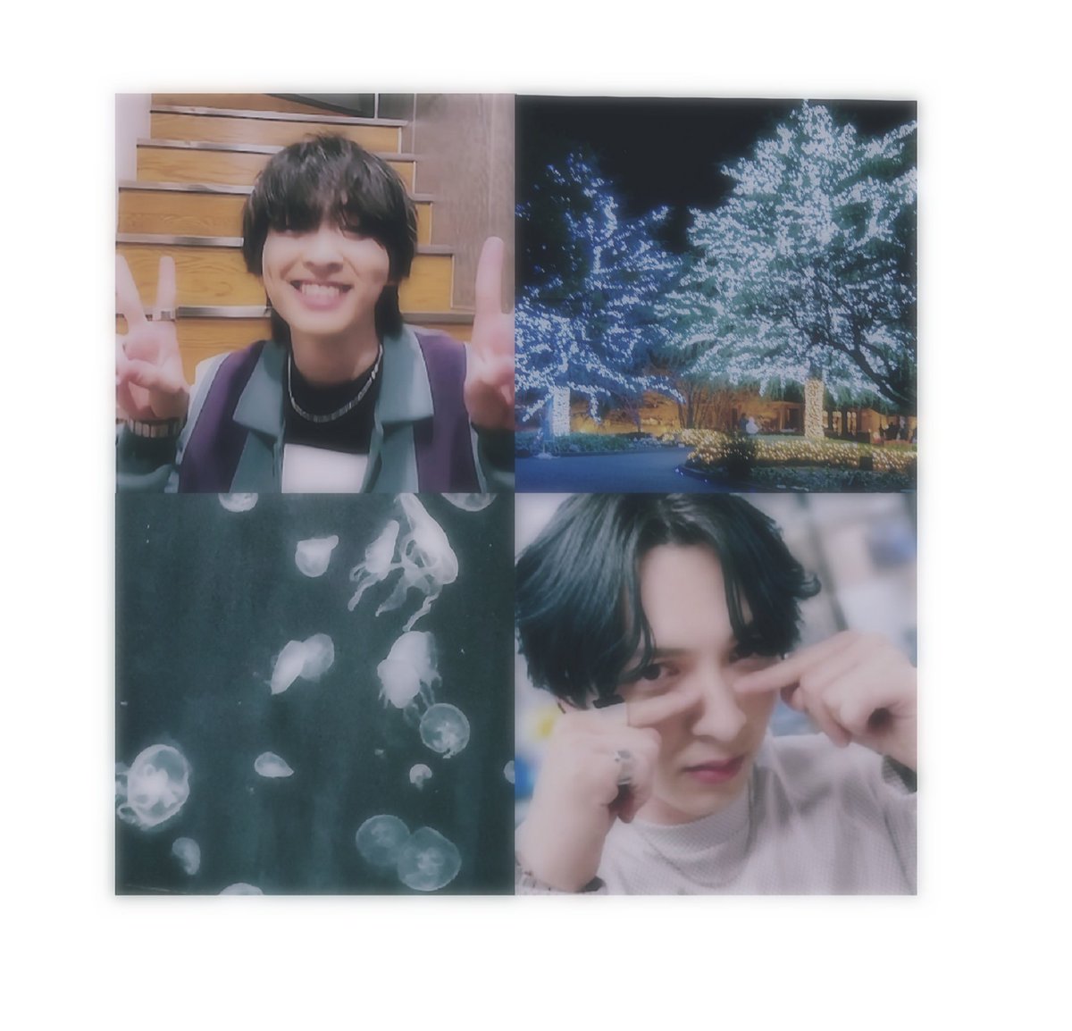 まいあ tweet media