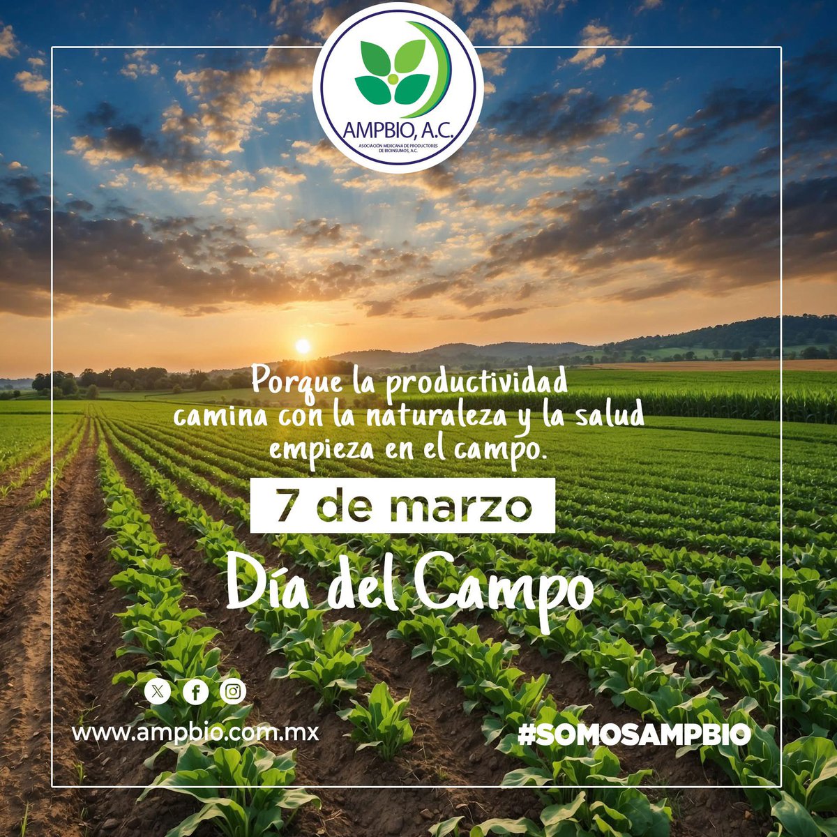 AmpbioAC's tweet photo. Porque la productividad camina con la naturaleza y la salud empieza en el campo🌱

#diadelcampo #AgriculturaSostenible #agricultura #alimentossanos #alimentossaludables  #Bioinsumos https://t.co/J3FiQkWsv2