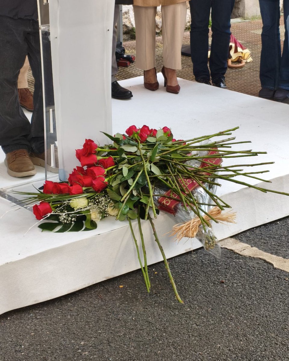 justiciayddhh-ejgv tweet media