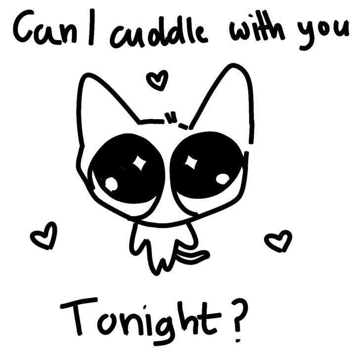 ♡ (@softheavens) on Twitter photo 