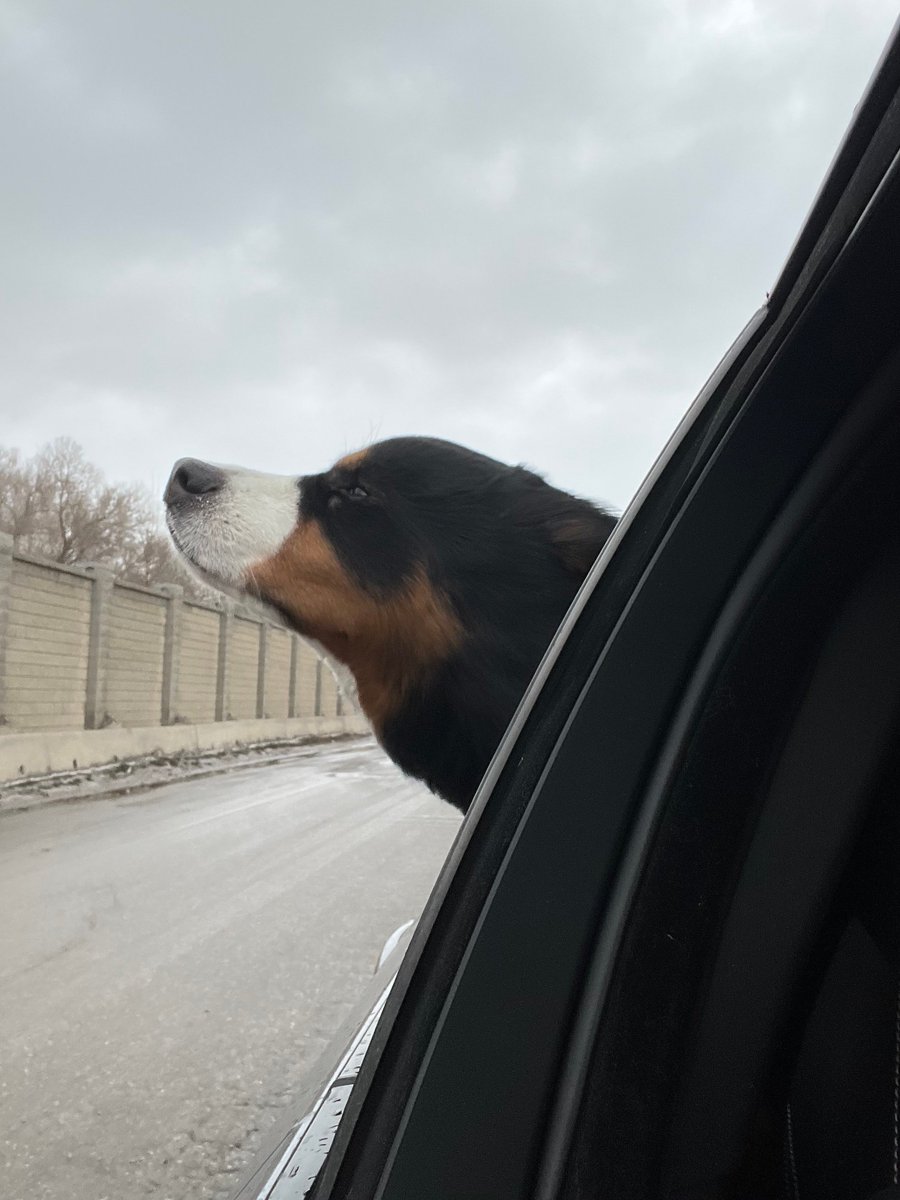 Denene Little tweet media