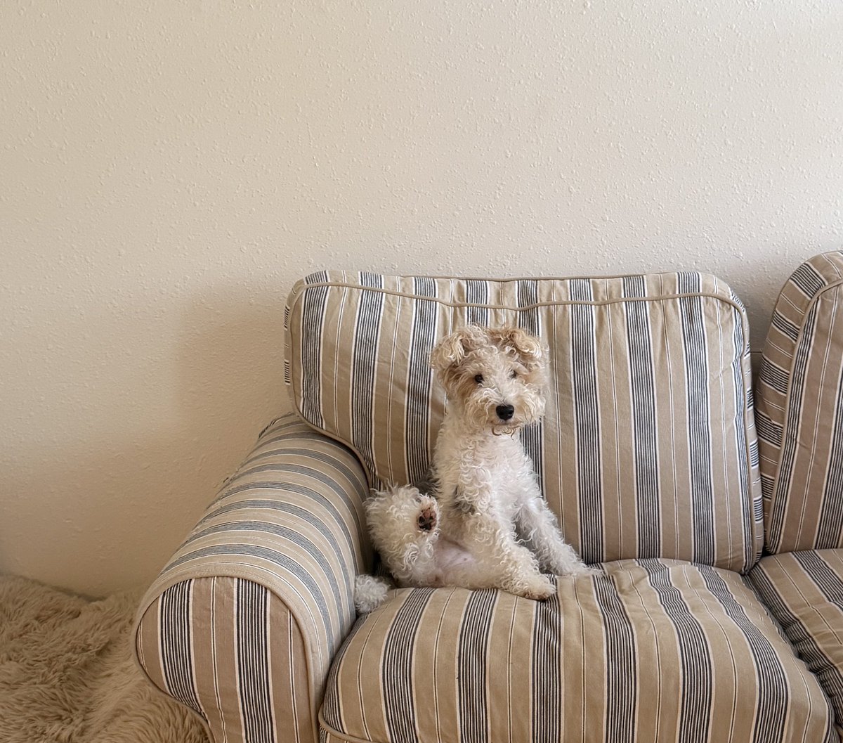 호밀빵의 파수꾼 tweet media