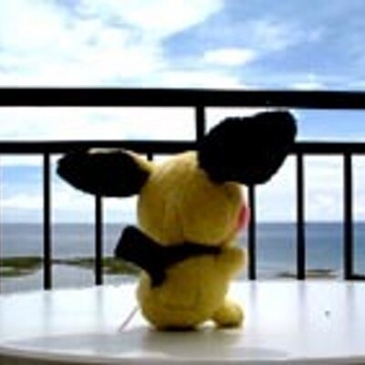 MbaWanda2245's tweet photo. when the world outside your window is a mess, it's nice to have a kingdom of tiny chaos within https://t.co/mR66ALWvfo