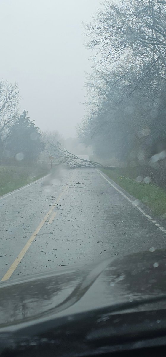 DJP_wx's tweet photo. Tree blocking hwy 94 E at Old Shiloh rd in NE Calloway county. @NWSPaducah https://t.co/XOxWOZGCYx