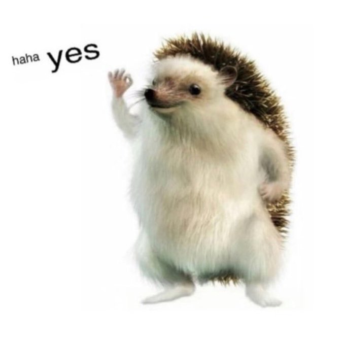 HahaYes, Tesla's Hedgehog Mascot tweet media