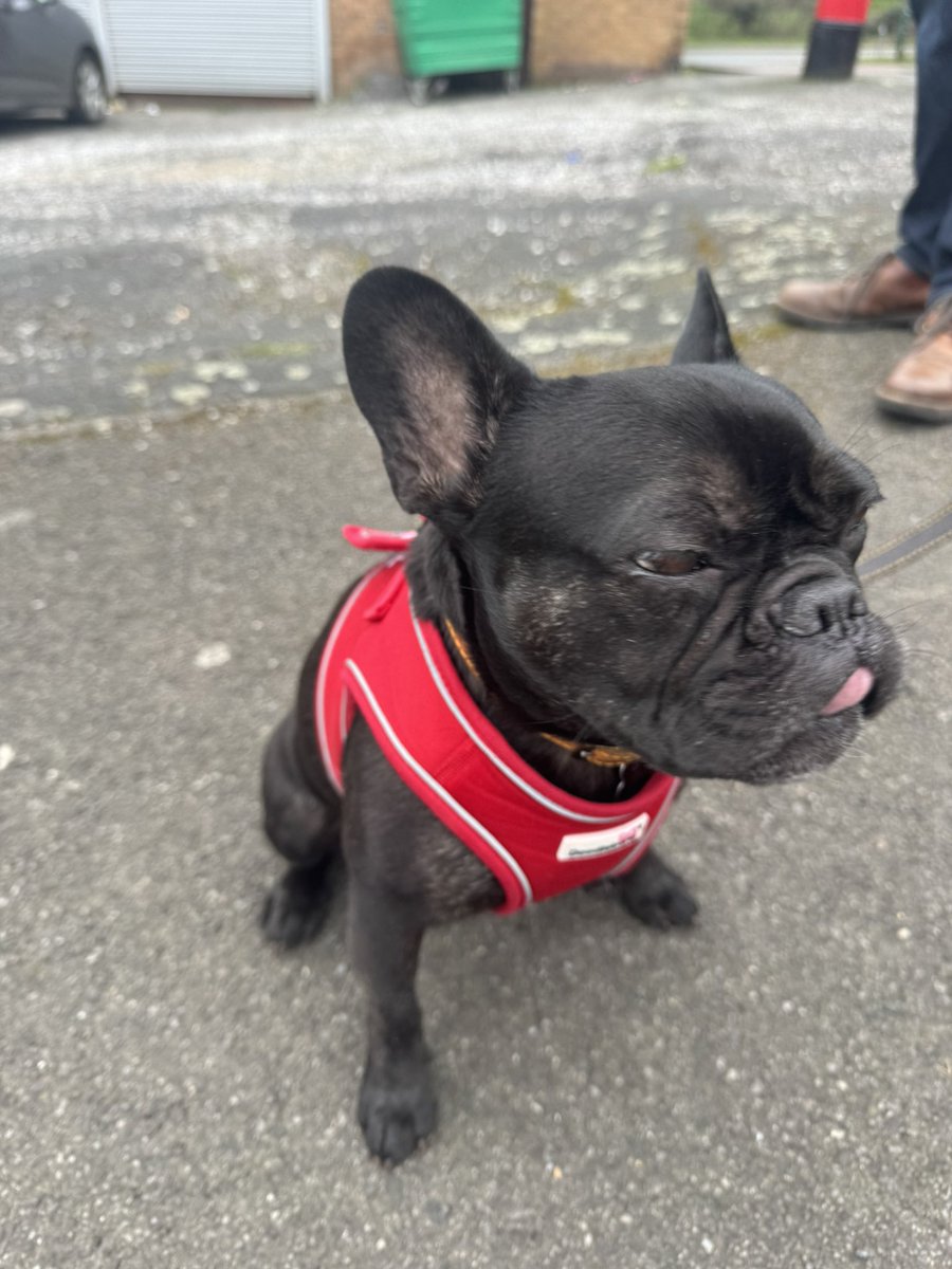 Basford Labour tweet media