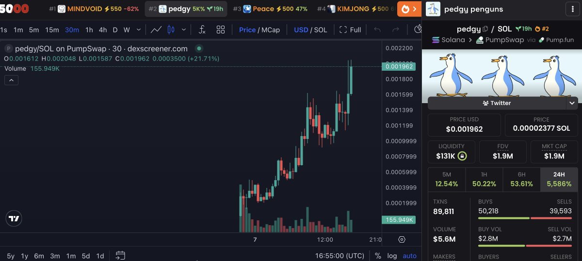 Goose 🪿 tweet media