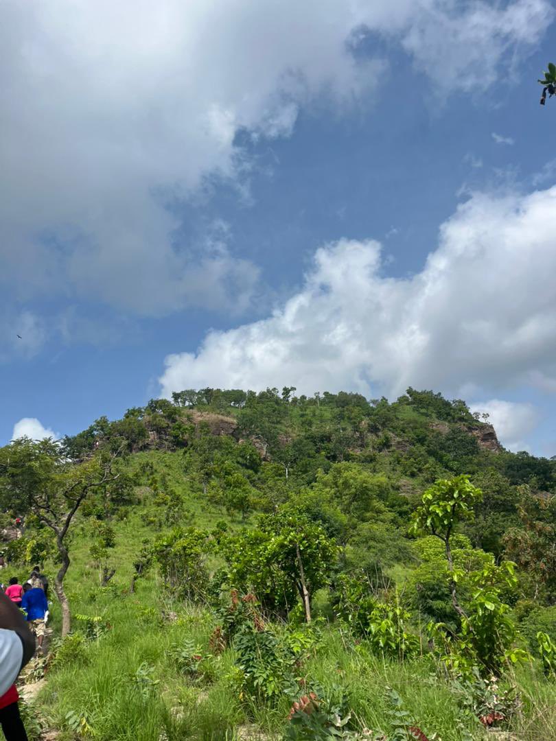 marcus Aurelius tweet media