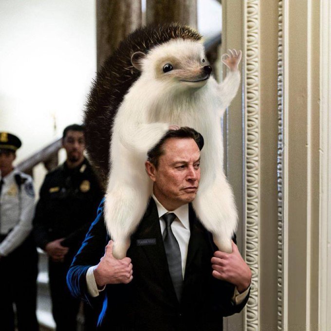 HahaYes, Tesla's Hedgehog Mascot tweet media