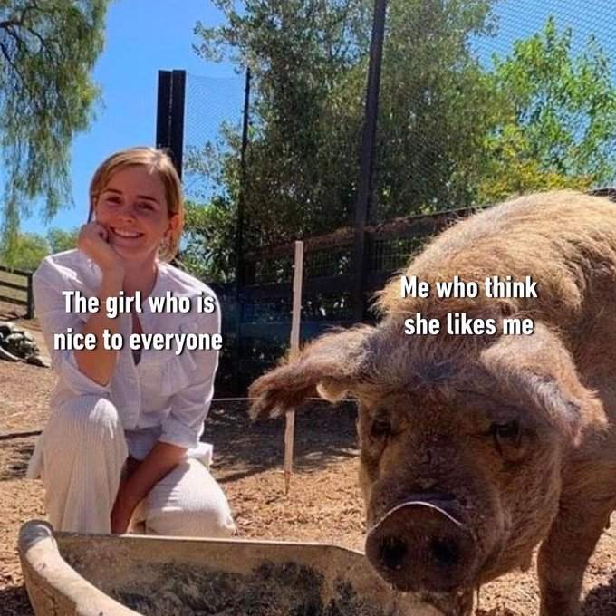 RealestMemes_'s tweet photo. https://t.co/BKxgtY0HaL