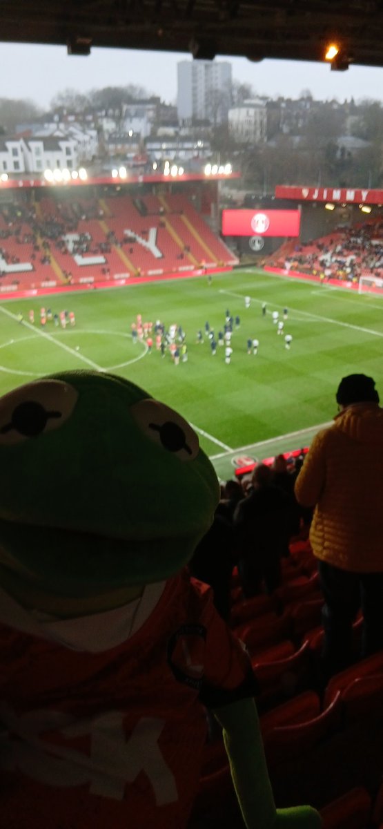 kermit krazy addick tweet media