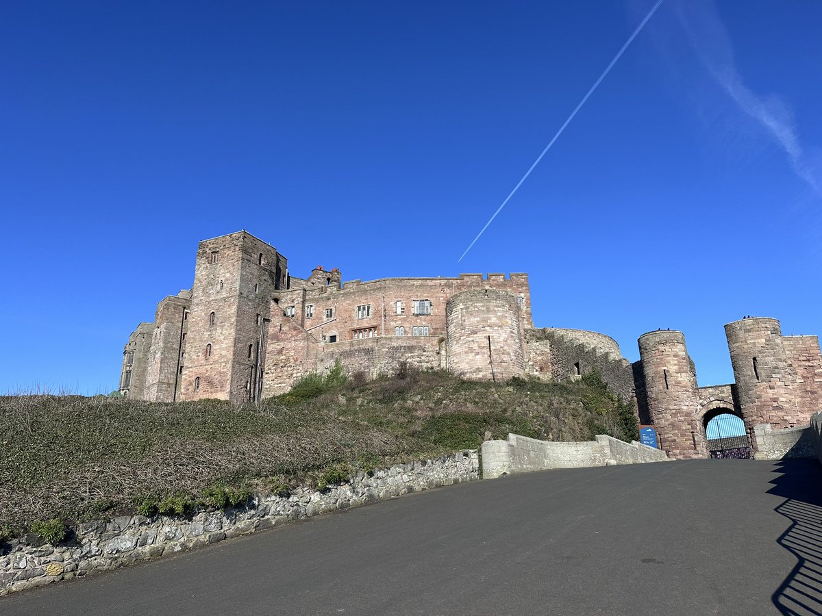 Susan & Orla🐶🏴󠁧󠁢󠁳󠁣󠁴󠁿🇪🇺 tweet media