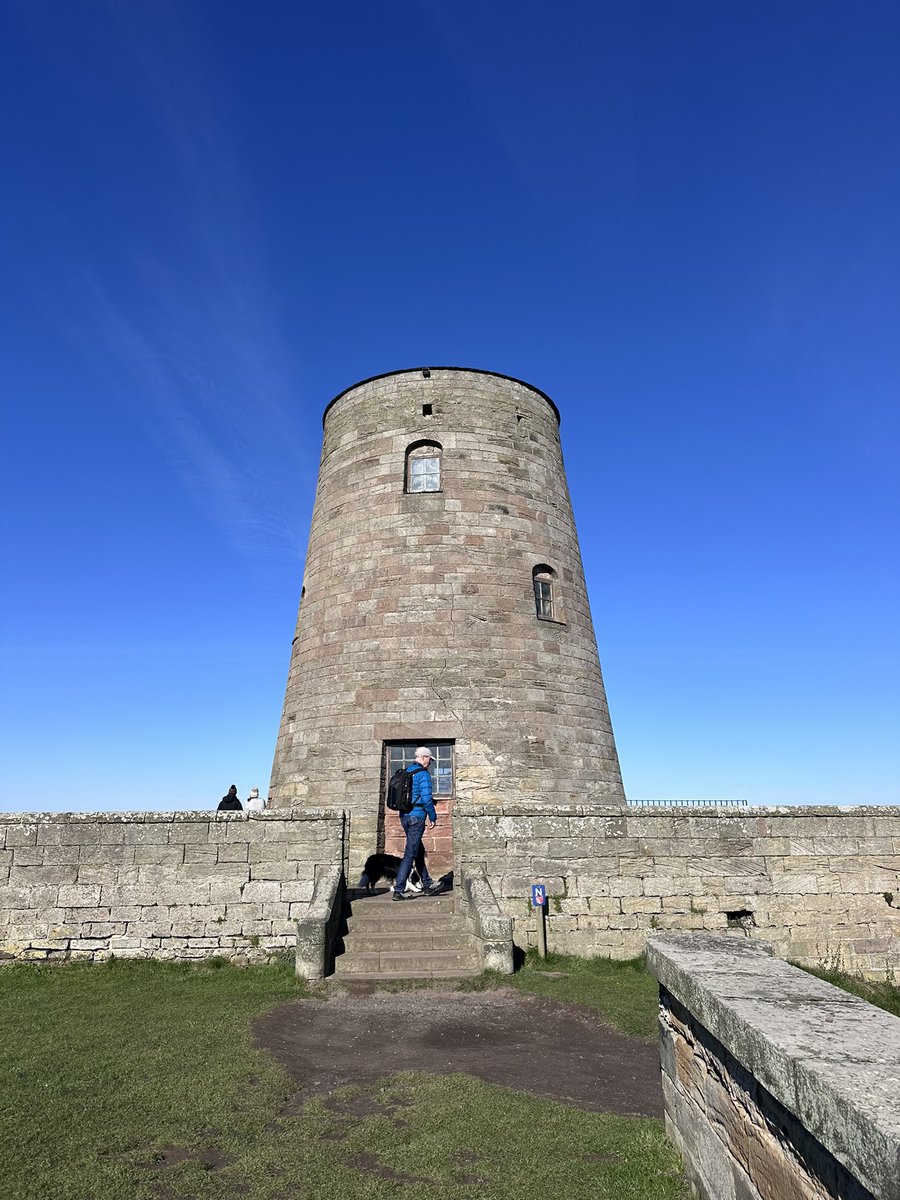 Susan & Orla🐶🏴󠁧󠁢󠁳󠁣󠁴󠁿🇪🇺 tweet media