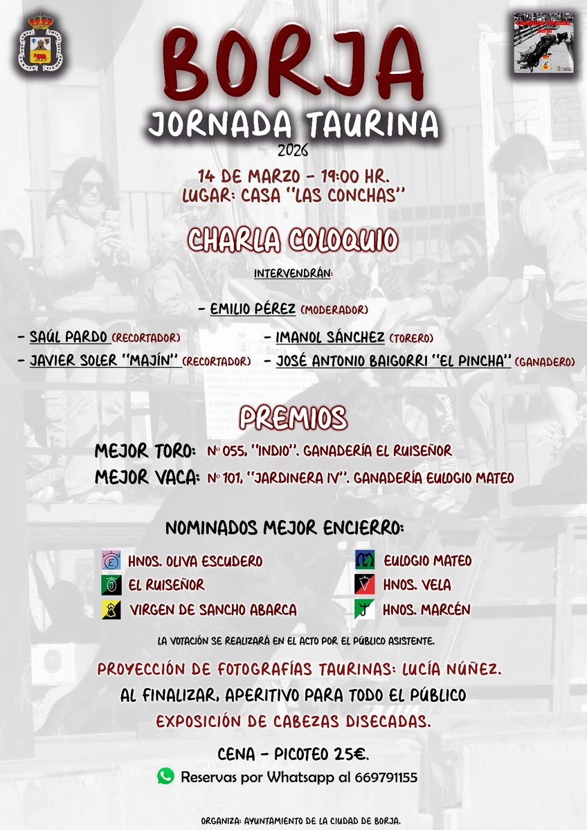 Torosocial Consultores tweet media