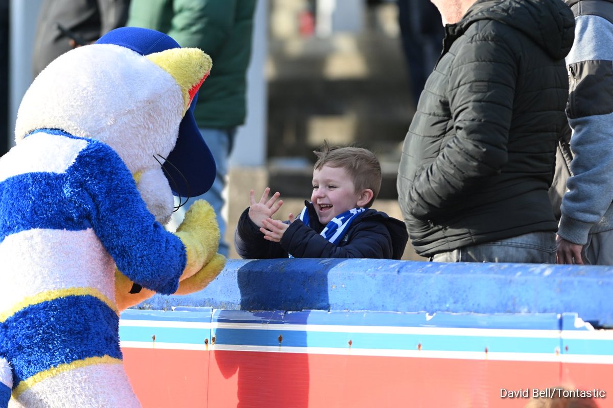 David Bell tweet media