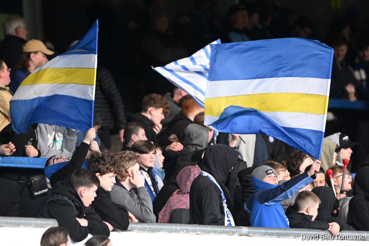 David Bell tweet media