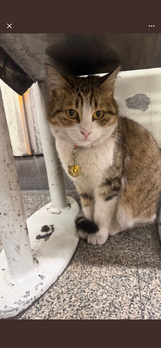 Beren🌱 tweet media