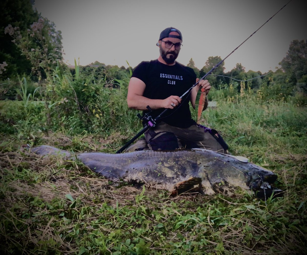The_Wild_Beater's tweet photo. This is one of the reasons why I write in some posts: "small catfish" or "catfish size xxxs."
The European catfish can grow to truly impressive sizes!
#WILDLURES #WildBeat285ss #PREST
#Catfish #Catfishing #Namazu https://t.co/IArA9GdwMt