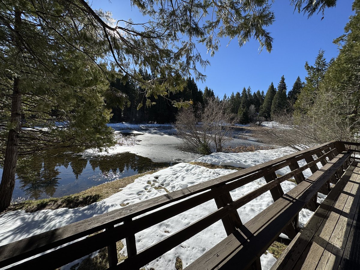 ⚡️Dezmond Oliver⚡️ tweet media