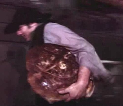 인터넷 밈 해명봇 tweet media