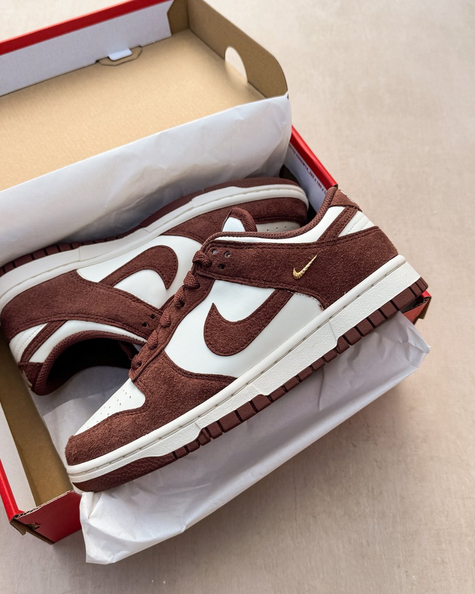 footlocker nike dunks low