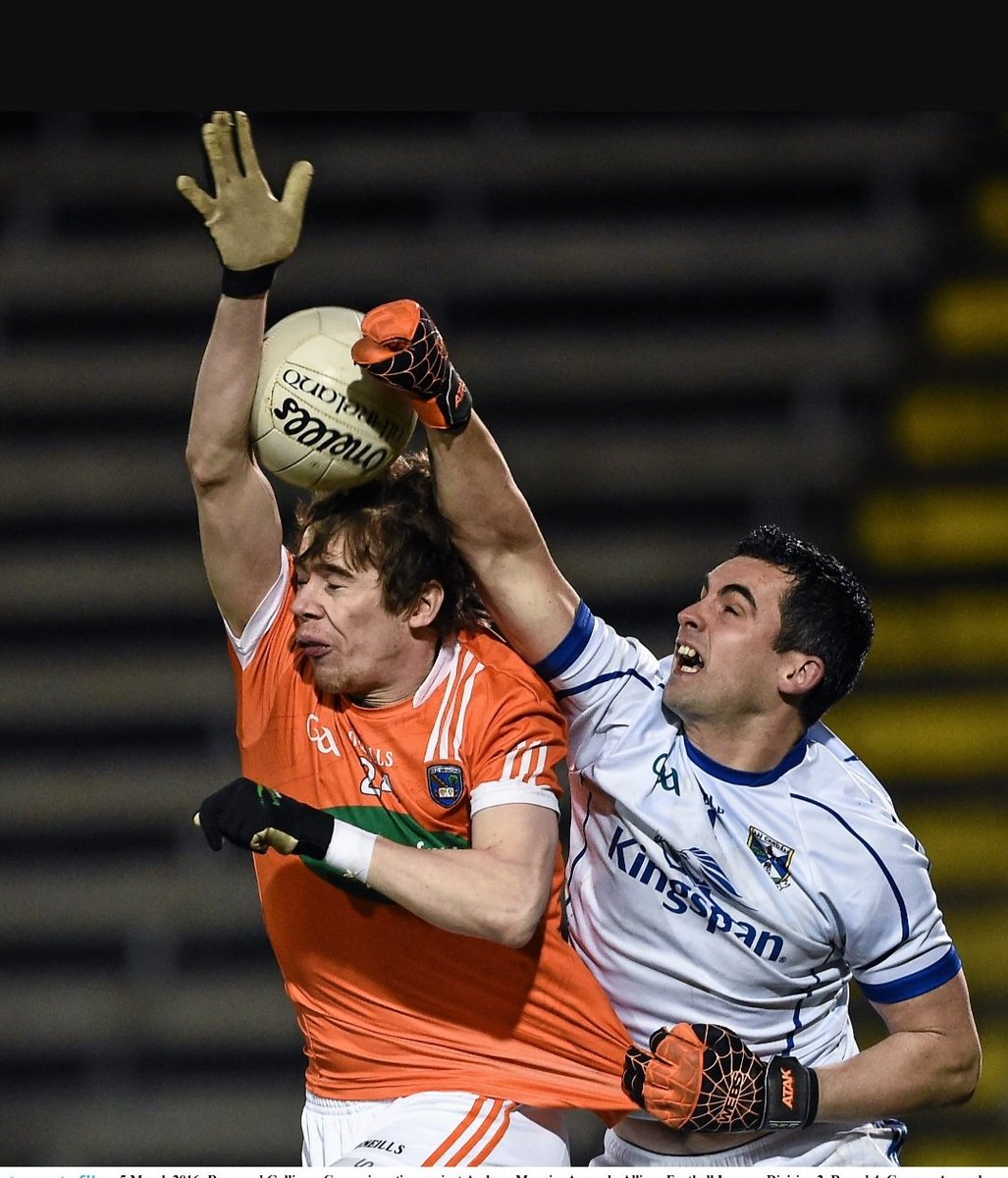 Niall McCoy tweet media