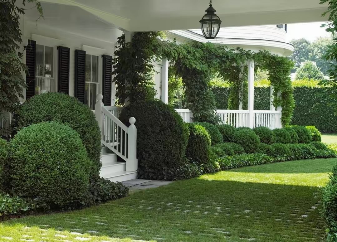 Henry Cameron tweet media