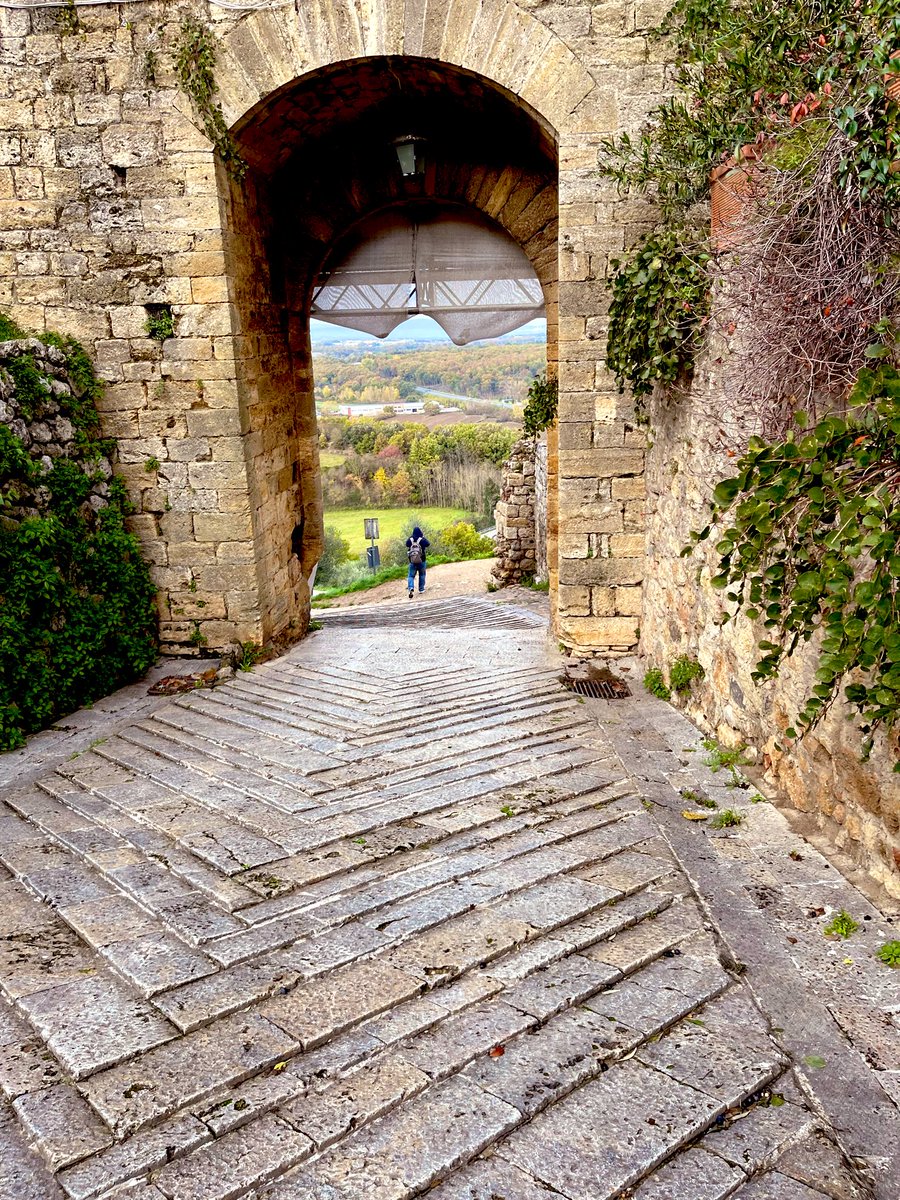 Simone Mori tweet media