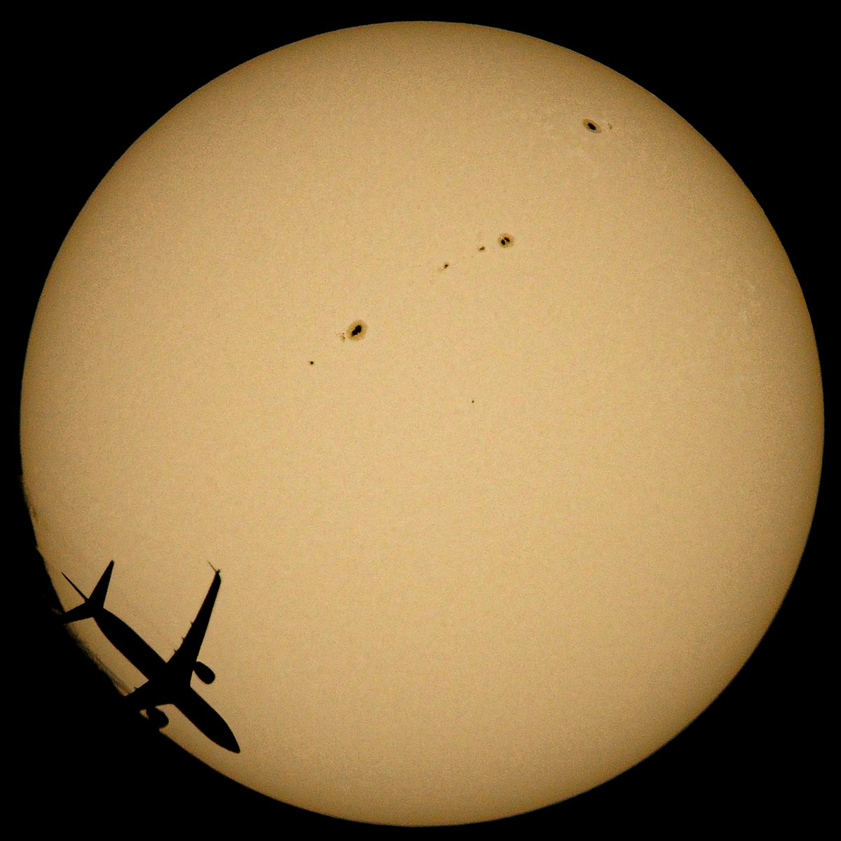 Michael Seeley tweet media