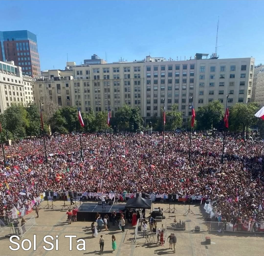 Rodolfo Seguel M tweet media