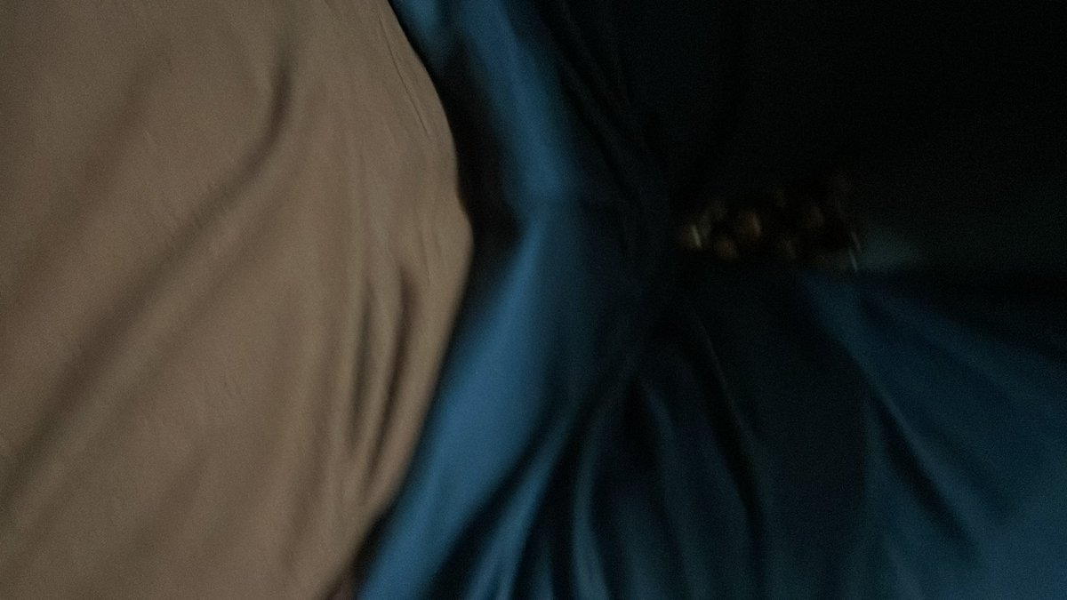 井底之呱呱 tweet media